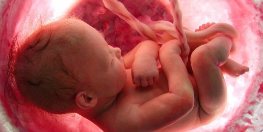 Abortion and the American Conscience