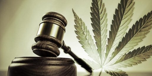 Media Continue Cover-up of Marijuana-induced Mental Illness