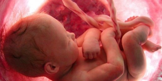 In Wake of Planned Parenthood Scandal, the Pro-Life Movement goes on the Offense