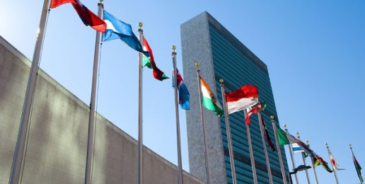 Warning Goes Forth, Again, Over Ratifying UN Treaty