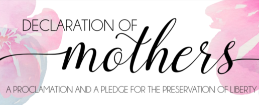 Declaration of Mothers Goes to Congress!