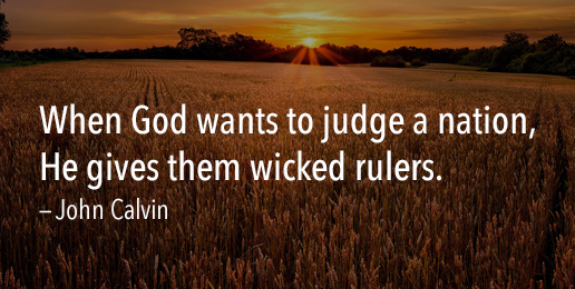 By Their Fruits Let Them Be Judged