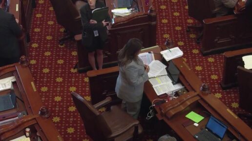 Senators Tracy & Bryant Challenge DCFS Expansion & Gender Policies